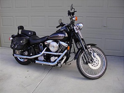 Photo of a 1997 Harley-Davidson&reg; FXSTSB Bad Boy