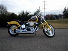 Used 1995 Harley-Davidson&reg; Softail&reg; Custom