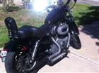 Photo of a 2009 Harley-Davidson&reg; XL 1200N Sportster 1200 Nightster&trade;