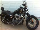 Photo of a 2009 Harley-Davidson&reg; XL 1200N Sportster 1200 Nightster&trade;