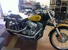 Used 2004 Harley-Davidson® Softail® Standard