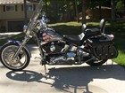 Photo of a 2002 Thunder Mountain  Gunnison Softail (FXST)
