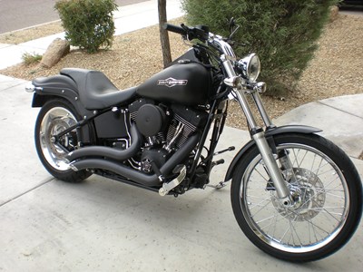 Photo of a 2008 Harley-Davidson&reg; FXSTB Night Train&reg; 