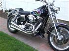 Photo of a 1993 Harley-Davidson&reg; FXDL Dyna Low Rider&reg;
