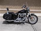 Used 2007 Harley-Davidson® Sportster® 1200 Low