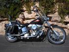 Used 1990 Harley-Davidson&reg; Softail&reg; Custom