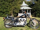 Used 2001 Harley-Davidson® Softail® Standard