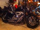 Photo of a 2009 Harley-Davidson&reg; XL 1200N Sportster 1200 Nightster&trade;