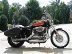 Used 2008 Harley-Davidson&reg; Sportster&reg; 1200 Custom 