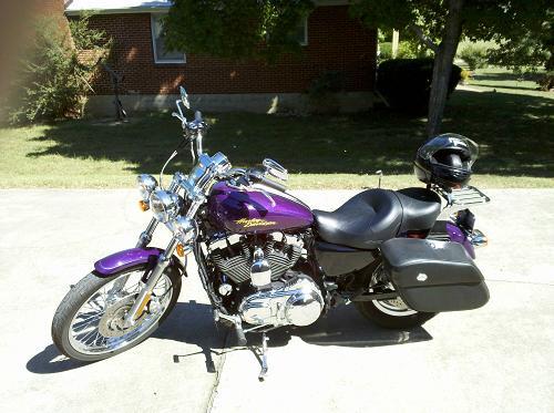 Used Motorcycles Nj >> 2008 Harley-Davidson® XL1200C Sportster® 1200 Custom (Purple Haze (limited edition color ... Used Motorcycles Nj >> 2008 Harley-Davidson® XL1200C Sportster® 1200 Custom (Purple Haze (limited edition color ...